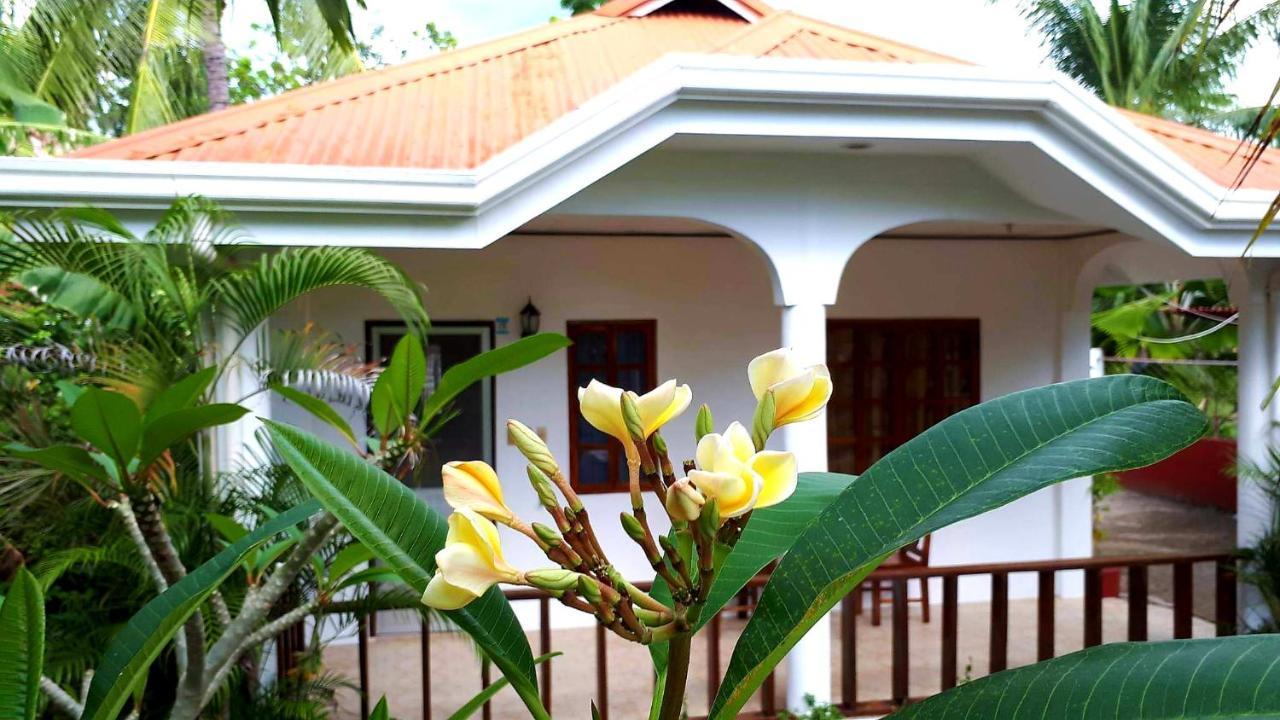 Palmera Palma Private 1-Br Bungalow In Moalboal Extérieur photo